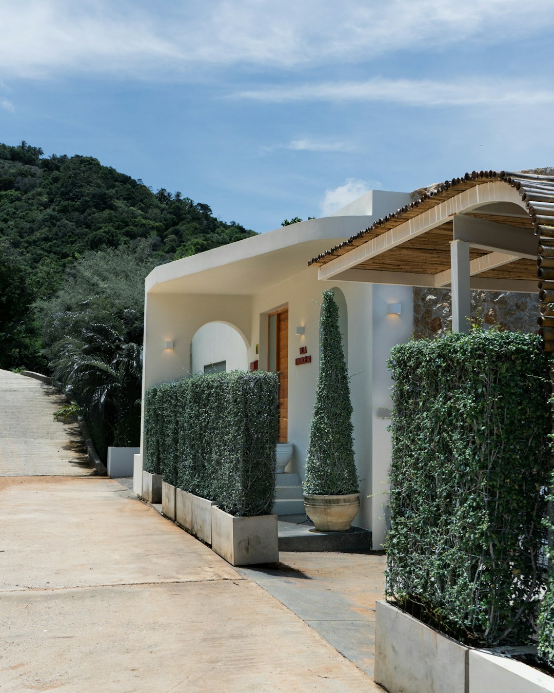 Modern Residential House