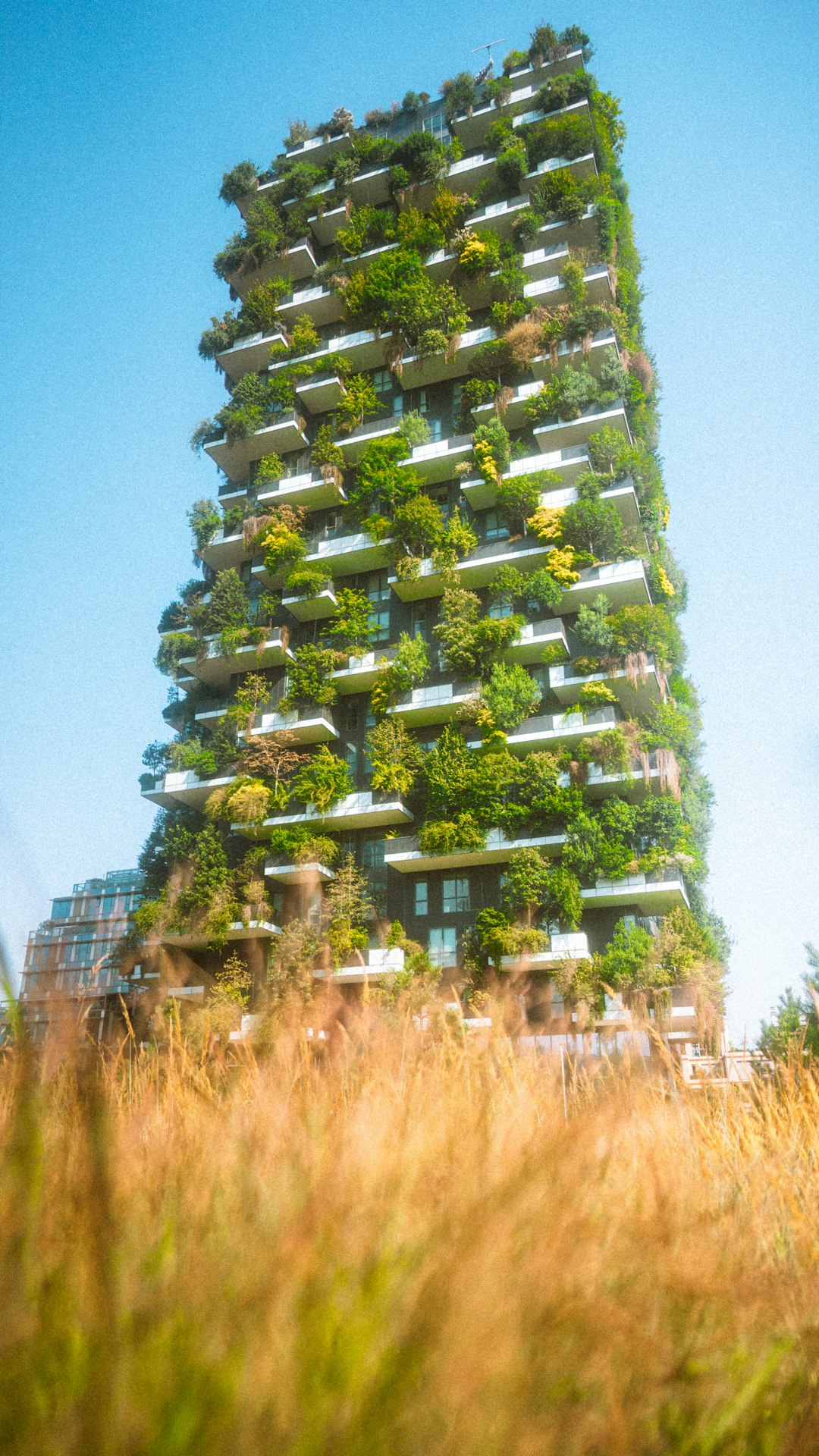 Sustainable Building